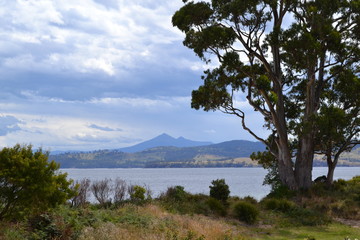 Bay in Tasmania