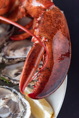 cooked lobster closeup