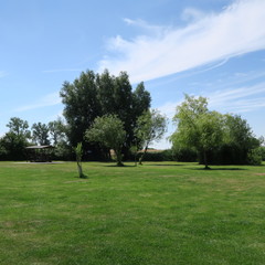 Bathing place without people in beautiful nature on the river Peene in Northern Germany Mecklenburg-Vorpommern