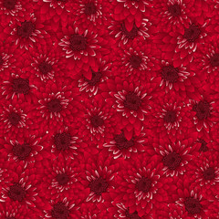 Red Chrysanthemum Seamless Background