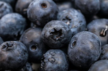 Blueberry with drops of water 