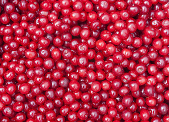 texture of many cherry fruit from the garden