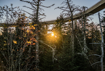 Great Smoky Mountains National Park Landscapes At Clingman's Dome Observation Tower.