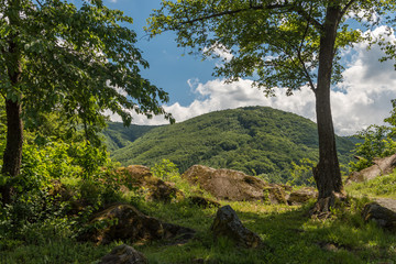 View from the castle Sebes