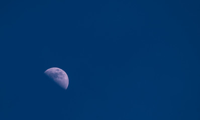 the moon close up, a half of the moon on a dark blue background of the sky, distinct craters of the moon, the romantic evening moon