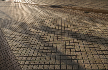 paving slabs, modern town planning, convenient sidewalks from a tile, an artificial stone, the road for pedestrians, evening lighting, gold patches of light and shadows