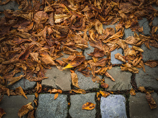 Dry autumn leaves on pedestrian walkway on the pavement of town street.