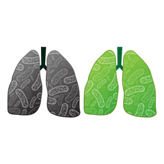Health and ilness lungs