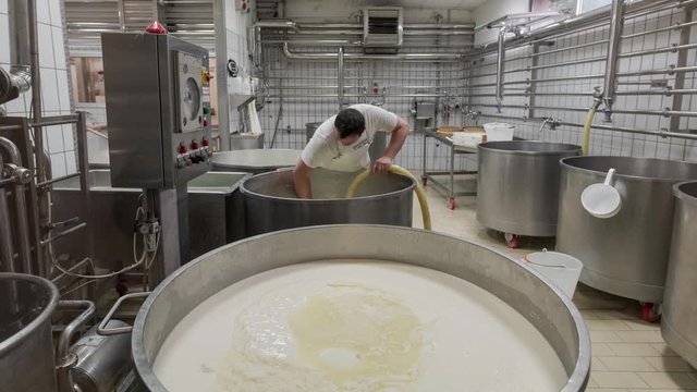 4K timelapse of mozzarella production in dairy farm also available in 8K