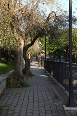 Obraz premium Val d'orcia