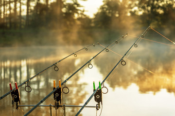Carp fishing rods misty lake.