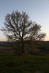 Obraz premium Val d'orcia