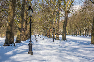 UK, England, London, Green Park in the snow