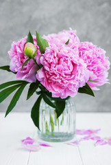 Pink peony flowers