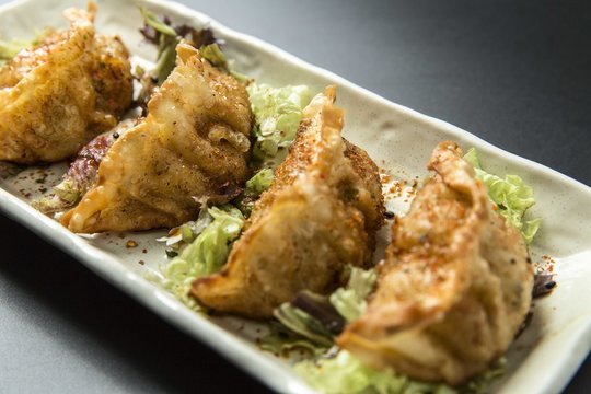 Plate with yummy gyozas