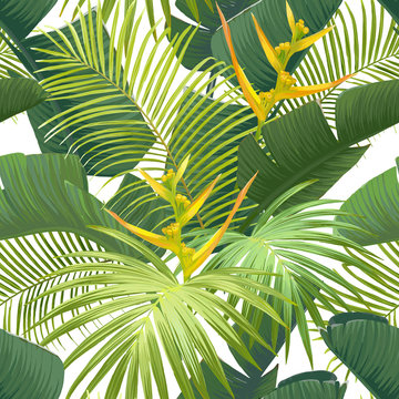 Seamless hand drawn tropical vector pattern with bird of paradise flowers and exotic palm leaves on white background. Vector illustration.