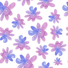 Seamless pattern with painted violet pink flowers isolated on white background. Watercolor illustration