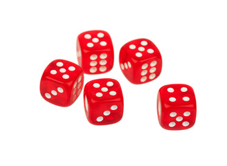 five red dices five on white background
