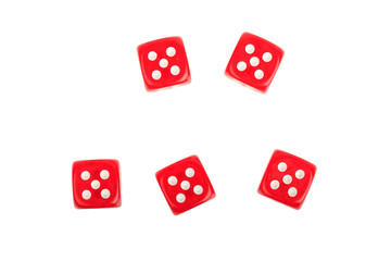 five red dices five on white background
