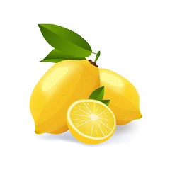 Lemon cut vector emblem illustration isolated on white