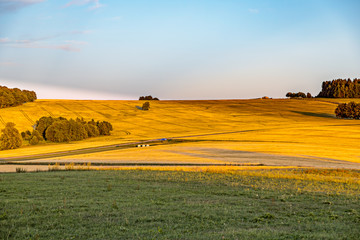 Fototapeta na wymiar Sunset over summer fields