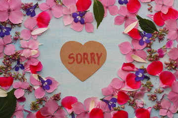 Frame of flowers with sorry word.