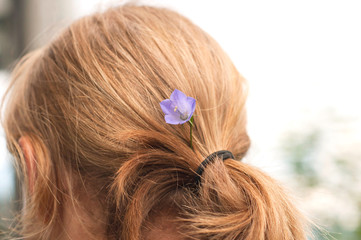 A blue campanula caught in hair of a man. A romantic view of a man with a blue summer flower in hair