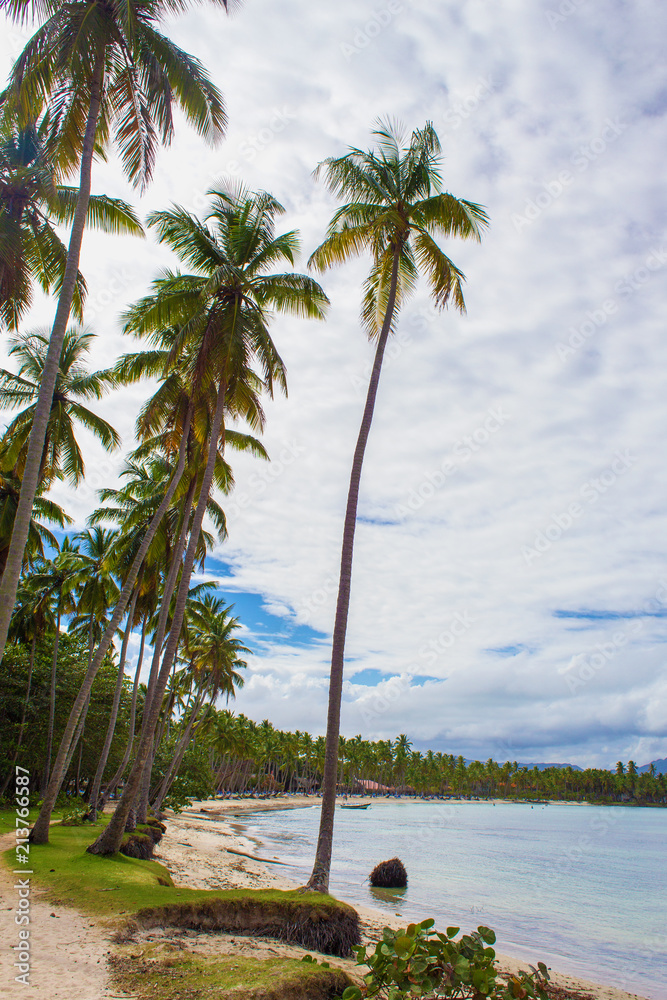 Wall mural Tropical beach ladscape