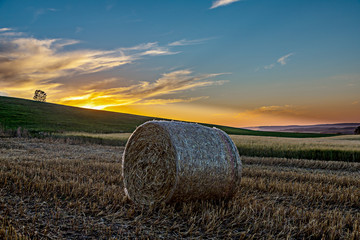 Sunset over summer fields