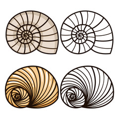 Cartoon and outline sea shells