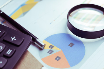 Business Analysis and Statistics Reports from sales charts last year using a magnifying glass.