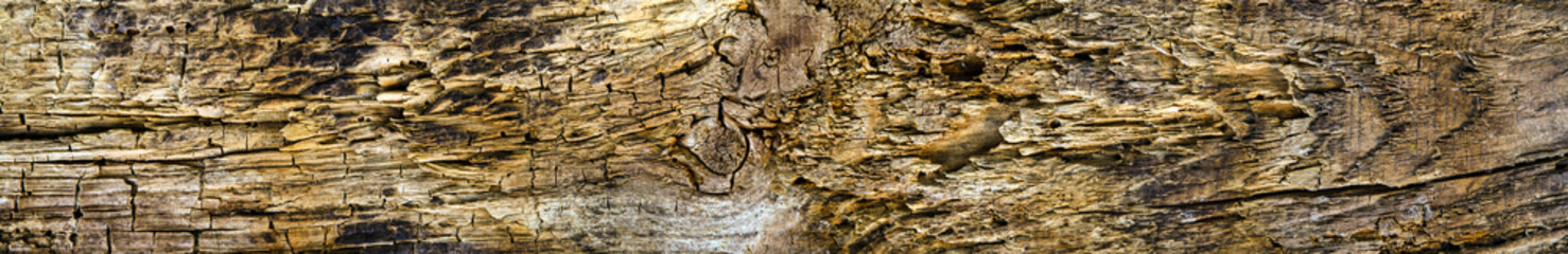 texture of old brown Golden wood panorama