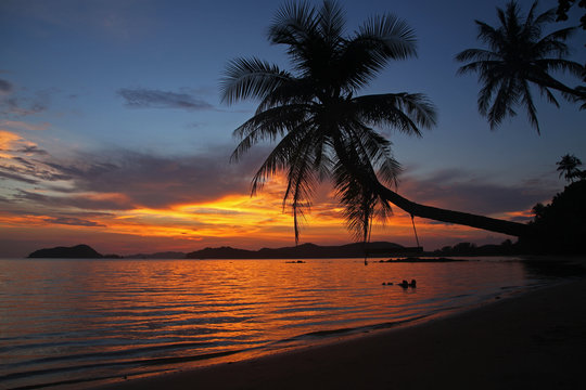 swing or cradle hang on the coconut tree shadow  beautiful sunset at koh Mak Island beach Trad Thailand