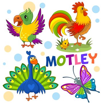A set of colorful, pictures of birds and insects for children and design, a rooster with a chicken, a parrot, a peacock and a butterfly.