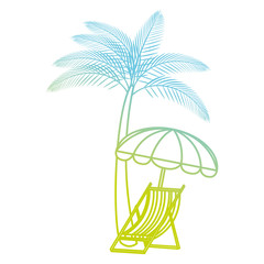 tree palms with beach chair and umbrella