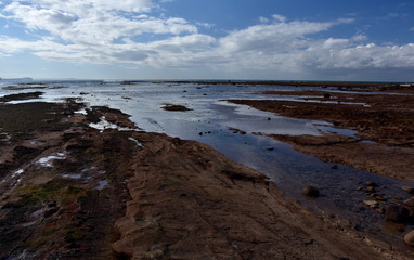 Low tide at Long Reef Headland (Sydney, Australia)
