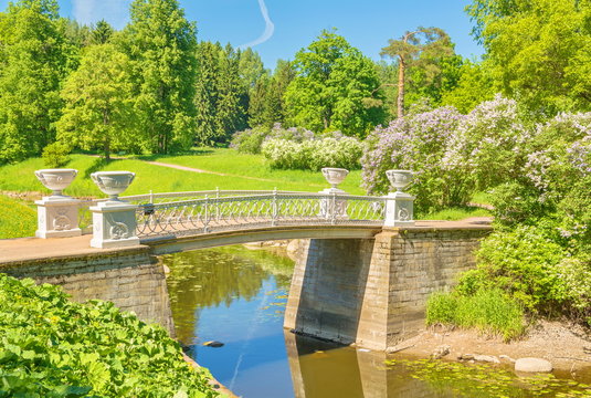 old white bridge in the park among the lilac bushes