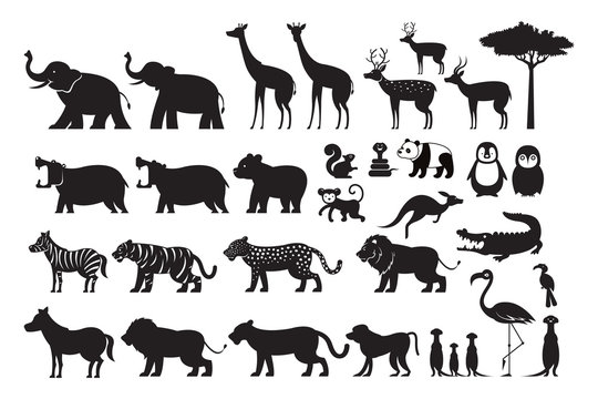 Wild Animals Silhouette Vector Set, Zoo, Safari, Front view and Side View