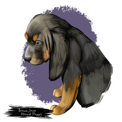 Bruno Jura Hound puppy digital art illustration