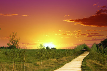Fototapeta na wymiar Beautiful yellow sand lane in countryside, green meadow on red sunset sky with clouds