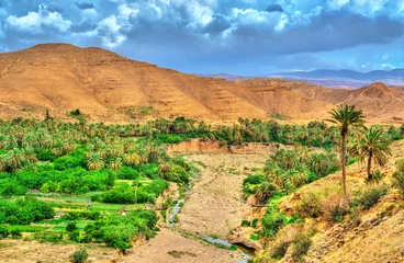 Möbelaufkleber Landschaften der Provinz Batna in Algerien © Leonid Andronov
