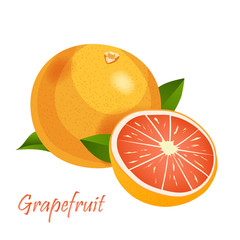 Grapefruit vector emblem illustration isolated on white.