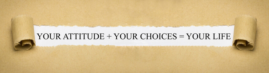 Your attitude + your choices = your life