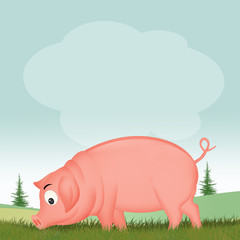 illustration of pig in the pigsty