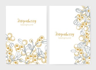 Set of flyer or poster templates decorated with lingonberries hand drawn with contour lines on white background. Collection of cards with arctic berries and leaves. Monochrome vector illustration.
