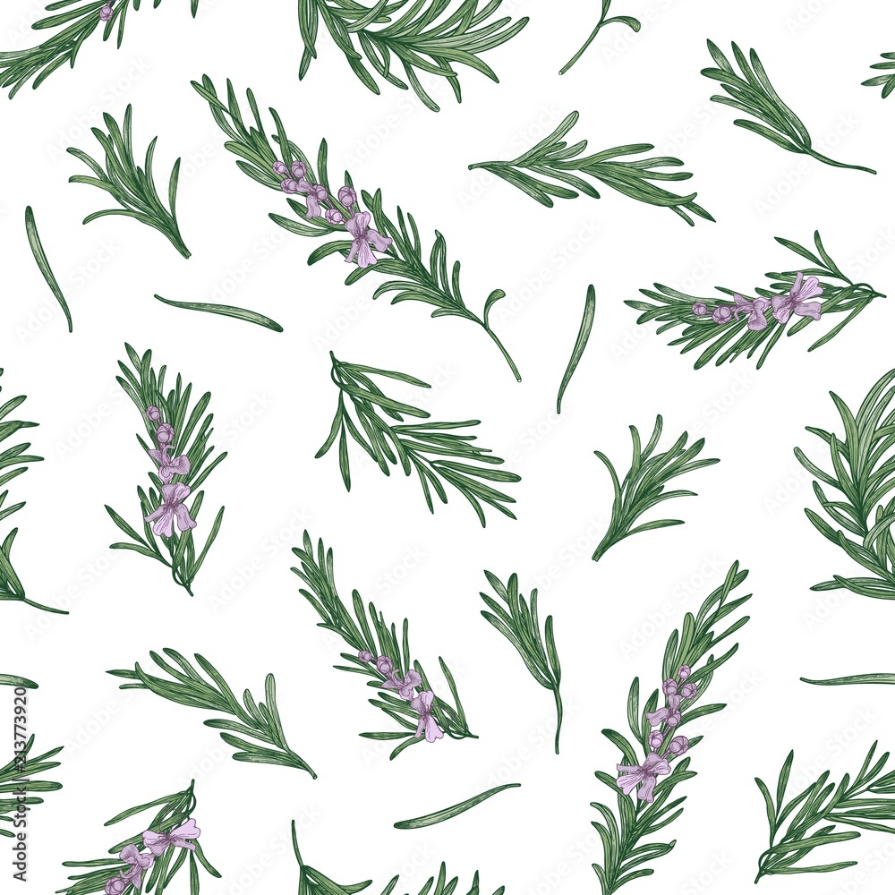 Poster herbal seamless pattern with rosemary sprigs on white background. backdrop with blooming fragrant he
