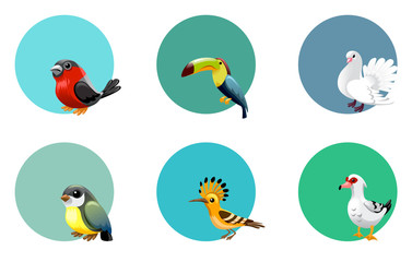 vector set of labels birds, exotic, parrots, paradise,