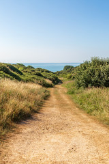 Fototapeta na wymiar A pathway leading to the coast, on a sunny summer's morning