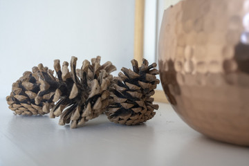 Pine cones on shelf