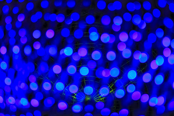 Dark background blur bokeh of festive blue light in blobs of circles 